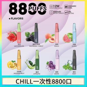 始祖鳥CHILL鴨嘴獸拋棄式電子菸 8800口一次性免充電